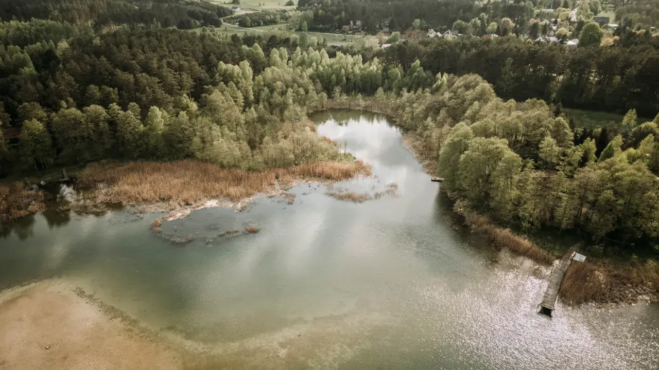 Malownicze jezioro Świętajno otoczone lasami i trzcinami. W oddali widać zabudowania wsi.