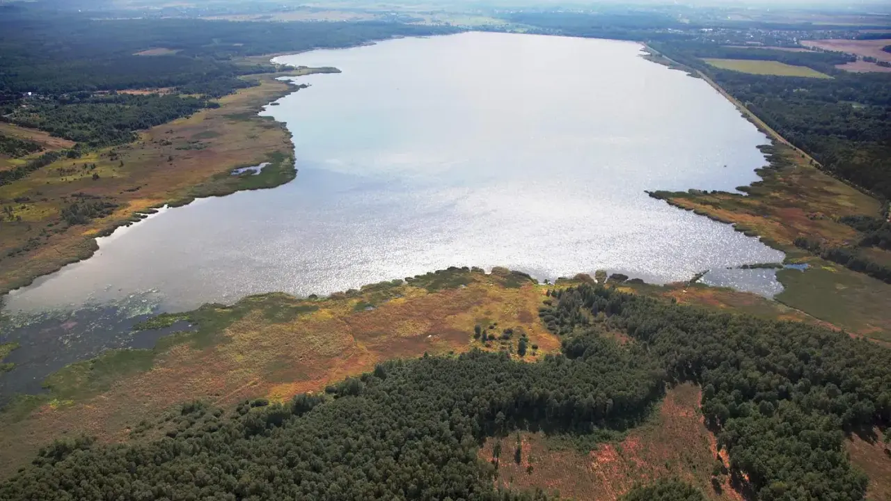 Rozległe jezioro otoczone lasem i trzcinami. Woda lśni, sugerując głębię i potencjalną termoklinę.