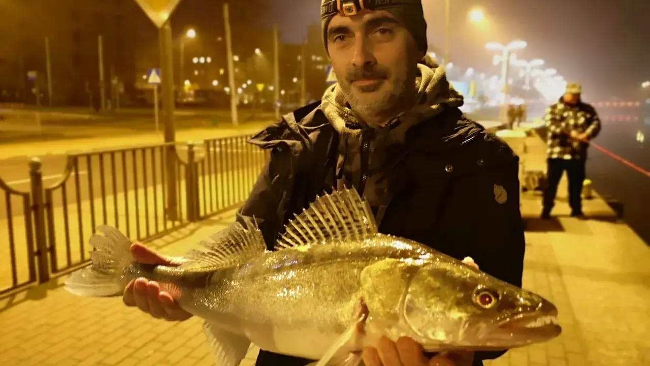 Szczecin rzeka nocą. Wędkarz z okazałym sandaczem na tle oświetlonej promenady.
