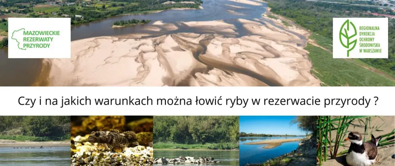 Krajobraz rzeki z piaszczystymi łachami, przypominający Jezioro Czerniakowskie. Poniżej zdjęcia ptaków, ryb i roślinności.
