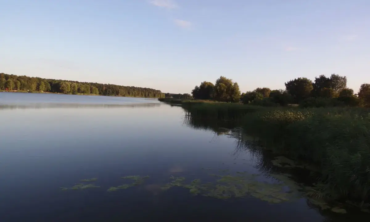 Spokojne gołuchowskie jezioro o zachodzie słońca, otoczone lasem i trzcinami.