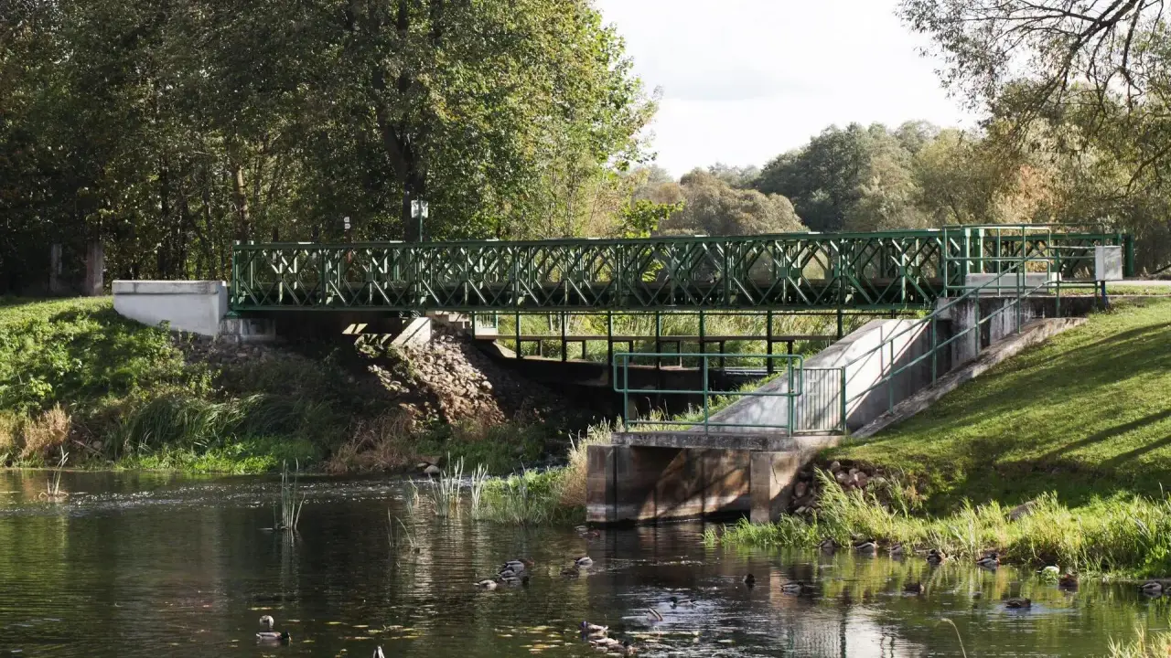 Zielona opaska na rzece, przez którą przepływają kaczki. Mostek łączy brzegi, a jesienne drzewa tworzą tło.