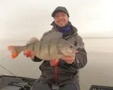 Szczęśliwy wędkarz trzyma pięknego okonia złowionego na najlepszą wędkę na okonia.