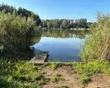 Spokojne jezioro sosno, z drewnianym pomostem i trzcinami po bokach.
