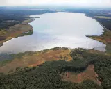Rozległe jezioro otoczone lasem i trzcinami. Woda lśni, sugerując głębię i potencjalną termoklinę.