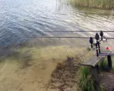 Wędki ustawione nad wodą, widoczna zielona żyłka, idealna jaka plecionka na karpia.