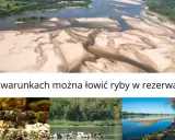 Krajobraz rzeki z piaszczystymi łachami, przypominający Jezioro Czerniakowskie. Poniżej zdjęcia ptaków, ryb i roślinności.