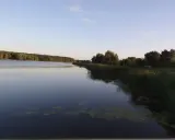 Spokojne gołuchowskie jezioro o zachodzie słońca, otoczone lasem i trzcinami.
