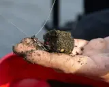 Wędkarz trzyma w dłoni zanętę z haczykiem, w której widać białe robaki.