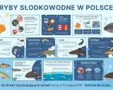 Karp, szczupak, sum i pstrąg – poznaj co to za ryba i ciekawostki o rybach słodkowodnych w Polsce.