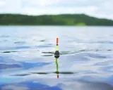 Kolorowy spławik na spokojnym jeziorze. Idealna jaka wędka na spławik na jezioro dla cierpliwego wędkarza.