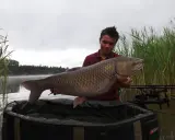 Wędkarz trzyma dużego amura nad matą karpiową, na tle trzcinowiska i jeziora.