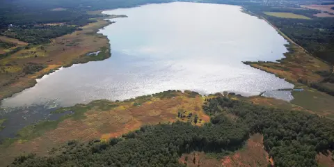 Rozległe jezioro otoczone lasem i trzcinami. Woda lśni, sugerując głębię i potencjalną termoklinę.