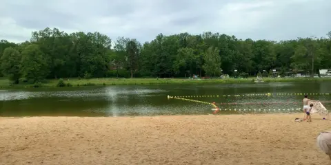 Piękna, piaszczysta plaża w Dziećkowicach zaprasza do wypoczynku nad jeziorem. W tle zielony las i spokojna woda.
