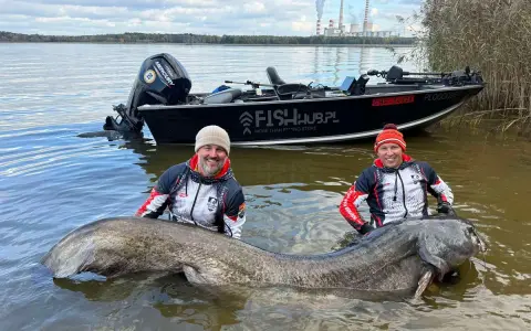 Dwóch wędkarzy z gigantycznym sumem w wodzie. Pytanie brzmi: jaki haczyk na suma pozwolił wyciągnąć taką rybę?