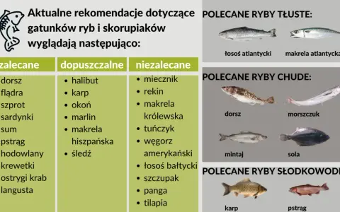 Zalecane, dopuszczalne i niezalecane nazwy ryb alfabetycznie. Tłuste, chude i słodkowodne ryby polecane do spożycia.