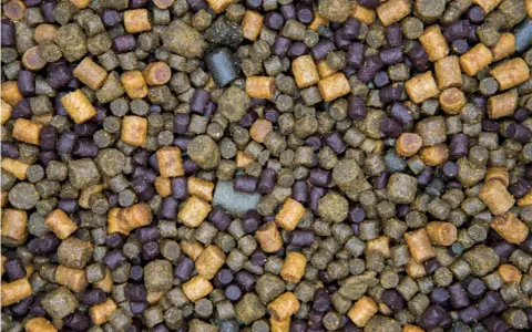 Zbliżenie na mieszankę zanęty na karpia 10 kg. Granulki w kolorach brązowym i fioletowym tworzą bogatą kompozycję.