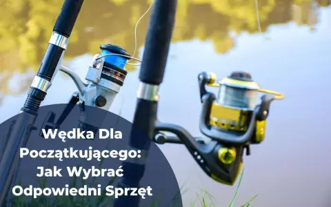 Dwie wędki z kołowrotkami na tle wody i zieleni.