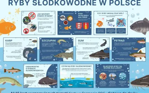 Ilustracja przedstawia ryby słodkowodne w Polsce, omawiając ich znaczenie w kulturze, biologii i dla człowieka. Wiele gatunków, od karpia po pstrąga, jest tu opisanych, a także poruszono kwestię ichtiologii i ochrony ryb.