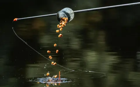 Karpie, szykujcie się! Właśnie sypie się zanęta na karpia feeder, kusząc Wasze podniebienia.