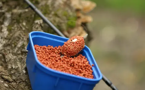 Niebieskie pudełko z zanętami Lorpio feeder, gotowe do akcji. Wędka w tle.