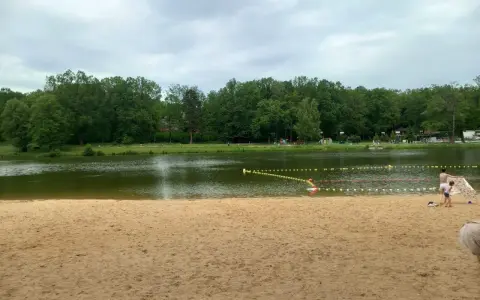 Piękna, piaszczysta plaża w Dziećkowicach zaprasza do wypoczynku nad jeziorem. W tle zielony las i spokojna woda.