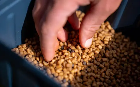 Dłoń miesza pellet na ryby w pojemniku. To kluczowy etap, jak zrobić pellet na ryby, by był idealny dla łowionych gatunków.