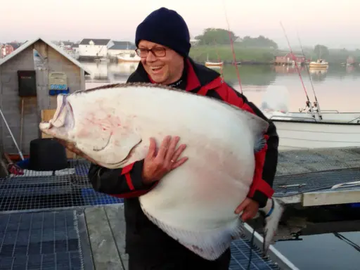 Szczęśliwy wędkarz z ogromnym halibutem. Taka zanęta halibut na jakie ryby? Na rekordowe!