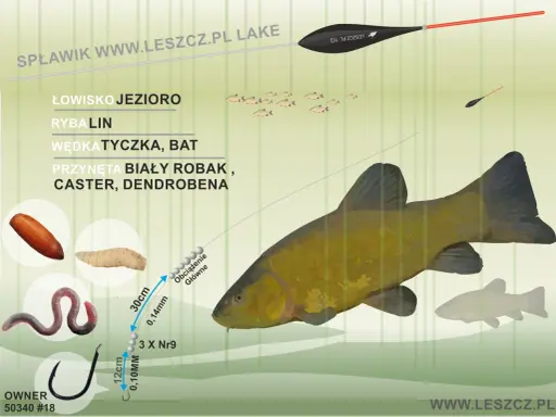 Jaki spławik na lina? Na jezioro, batem, z białym robakiem, casterem lub dendrobeną. Zestaw z haczykiem i obciążeniem.