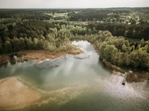 Malownicze jezioro Świętajno otoczone lasami i trzcinami. W oddali widać zabudowania wsi.