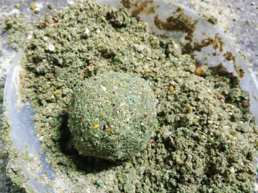 Domowa zanęta na lina, kulka z mieszanki ziaren i ziół w plastikowym pojemniku.