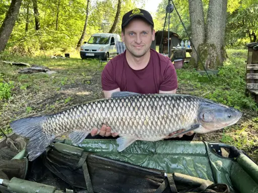 Wędkarz z amurem złowionym na zanętę. Ryba ma duże łuski i jest trzymana na macie karpiowej.