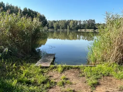 Spokojne jezioro sosno, z drewnianym pomostem i trzcinami po bokach.