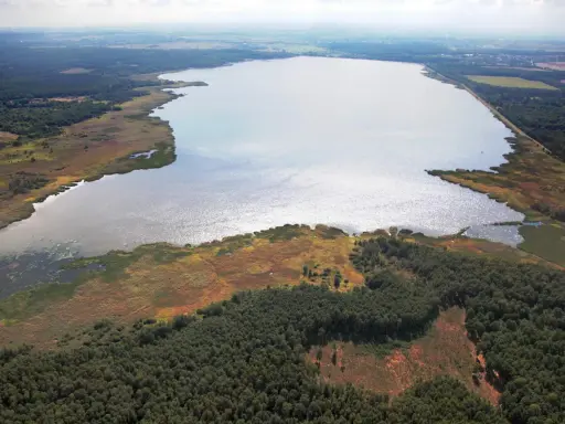 Rozległe jezioro otoczone lasem i trzcinami. Woda lśni, sugerując głębię i potencjalną termoklinę.