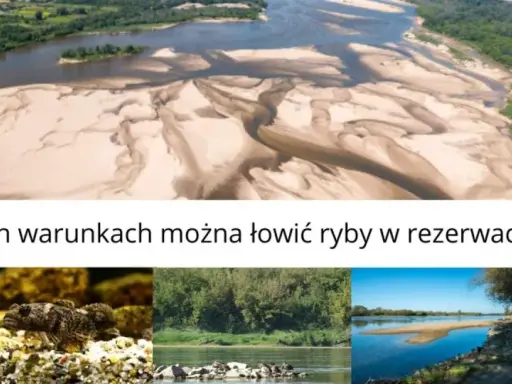Krajobraz rzeki z piaszczystymi łachami, przypominający Jezioro Czerniakowskie. Poniżej zdjęcia ptaków, ryb i roślinności.