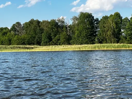 Spokojne jezioro wieleńskie z falującą wodą i zielonym lasem w tle.
