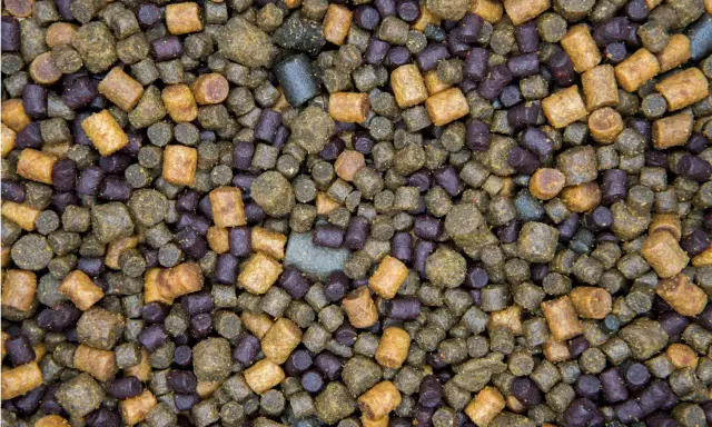 Zbliżenie na mieszankę zanęty na karpia 10 kg. Granulki w kolorach brązowym i fioletowym tworzą bogatą kompozycję.