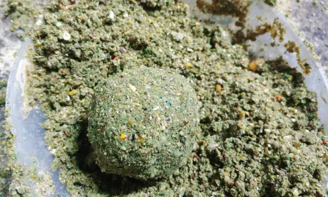 Domowa zanęta na lina, kulka z mieszanki ziaren i ziół w plastikowym pojemniku.