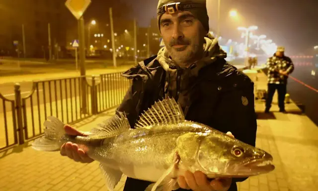 Szczecin rzeka nocą. Wędkarz z okazałym sandaczem na tle oświetlonej promenady.