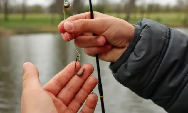 Dłonie wędkarza zakładają robaka na haczyk nad wodą.