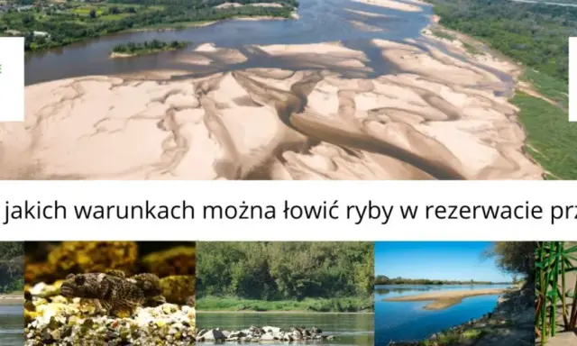 Krajobraz rzeki z piaszczystymi łachami, przypominający Jezioro Czerniakowskie. Poniżej zdjęcia ptaków, ryb i roślinności.