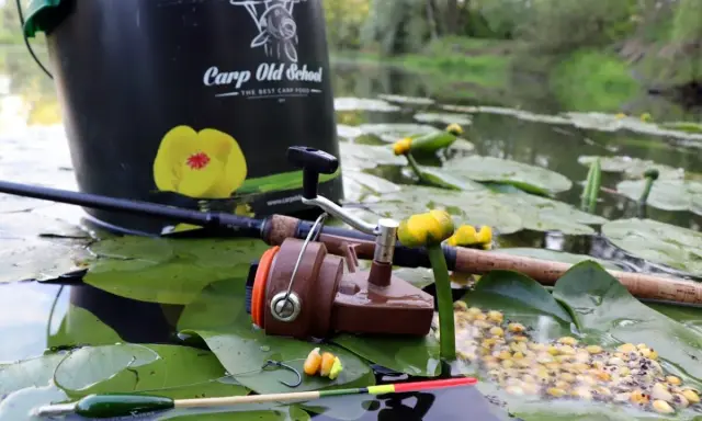 Wiadro "Carp Old School", wędka, kołowrotek i przynęta na liściach lilii wodnych. Idealne miejsce, by dowiedzieć się, jak łowić duże ryby na spławik.