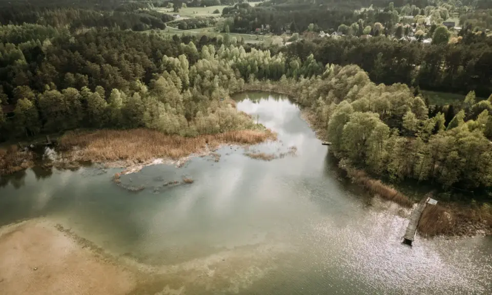 Malownicze jezioro Świętajno otoczone lasami i trzcinami. W oddali widać zabudowania wsi.