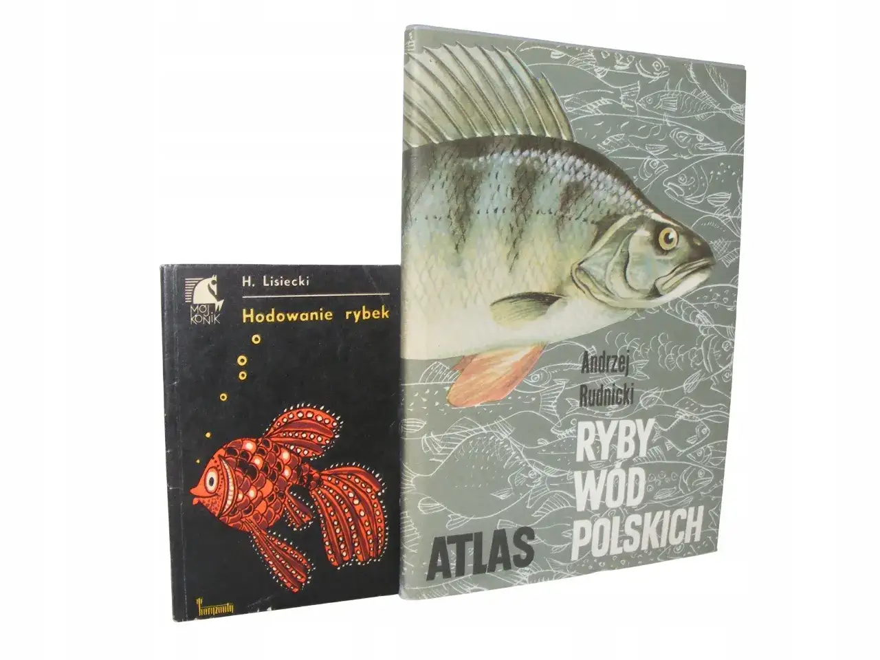 Dwie książki o rybach: