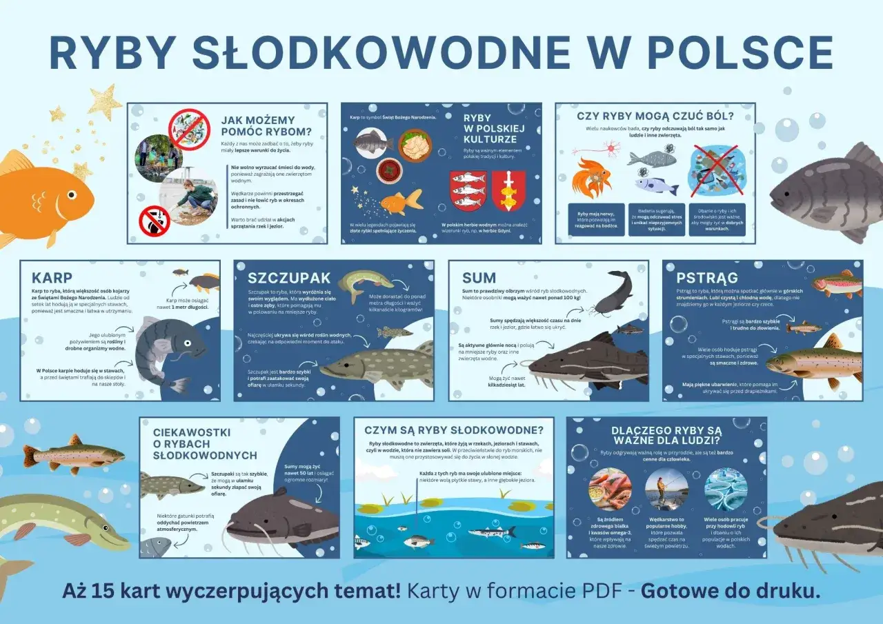 Karp, szczupak, sum, pstrąg – co to za ryba? Poznaj słodkowodne ryby Polski, ich cechy i znaczenie.