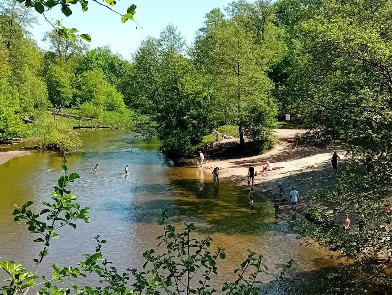 Ludzie kąpią się i odpoczywają na piaszczystej plaży nad rzeką Świder.